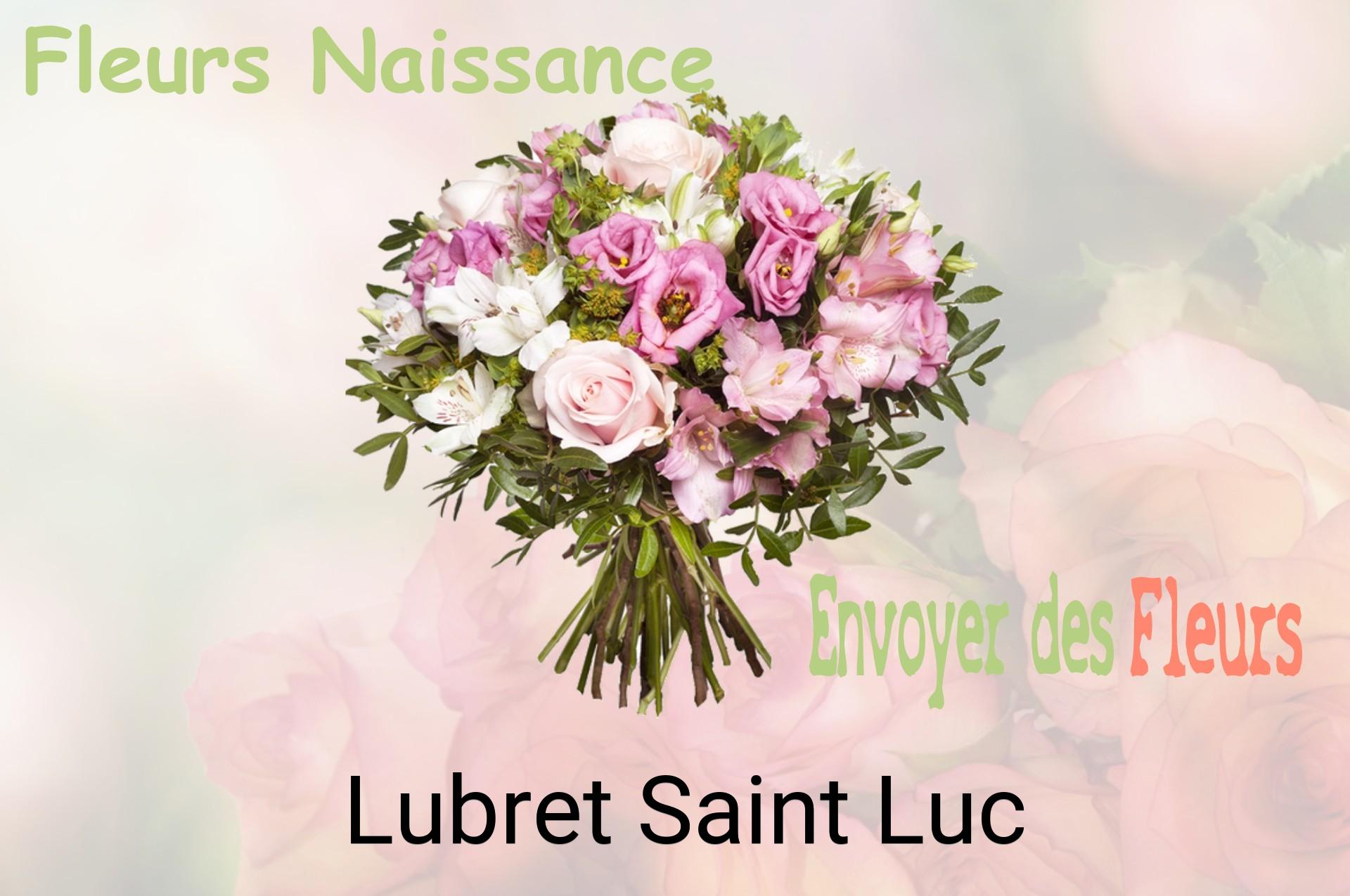 Bouquet de fleurs de naissance livré à Lubret-Saint-Luc